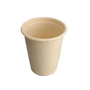 China Hot Chocolate Biodegradable Sugarcane Bagasse Cup 8Oz Takeaway Coffee Cups With Lids factory