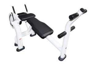 China Custom Commercial Grade Gym Equipment White Tube Ab Crunch Bench Press factory