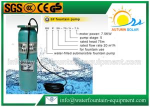 China Durable Garden Water Fountain Pumps , Simple Cast Iron Submersible Fountain Pump factory