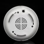 Mini 100ml Electronic Aroma Diffuser With Natural Sound