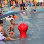 Customized Carp Carton Spray Park Equipment For Children / Kids Fun in Swimming