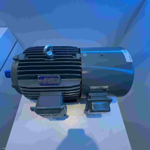 China Three Phase Permanent Magnet Synchronous Motors For Injection Machine factory
