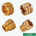 Ppr Fittings Brass Inserts Germany Designs Female Inserts Heavier Types