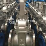 ANSI F304 Stainless Steel Gate Valve