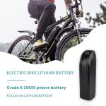 28Ah Lithium Battery Pack with 1C Discharge for Electric Bicycle OEM