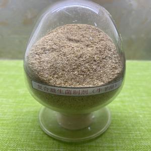China Guanidine Acetic Acid Bacteria Probiotics Powder Blend Effective Live Bacteria 2 Billion Ruminant Fatten Feed factory