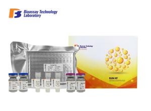 China SP Sandwich Canine ELISA Kits High Specificity Canine Substance P With Oem Service factory