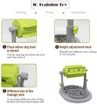 Companet Pet Slow Feeder Interactive Dog & Cat IQ Training Toys