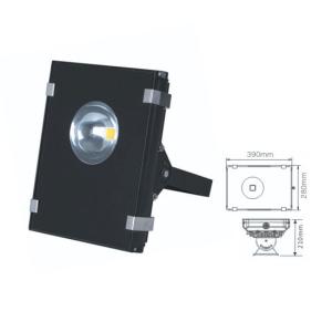 China IP65 outdoor high power 50W led floodlight factory