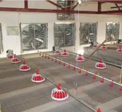China Automatic Chicken Poultry Equipment Chicken Feeding Line 50-100kg/H factory