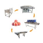 Hot selling Double Tank Fruit Washing Machine With Factory Price by Huafood
