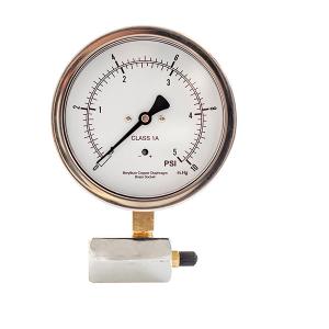 China 3/8&quot;NPT Valve 4 Inch 10cm Capsule Pressure Gauge 5 Psi SS Case factory