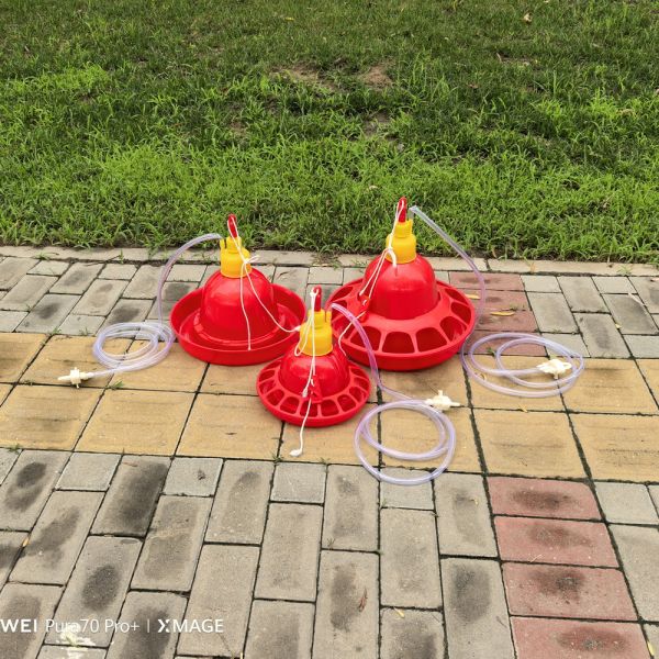 Cone Shape Fully Automatic Poultry Water Dispenser Thickened New Type