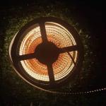 24v High Brightness 3014 Single Row Led Light Strip Suitable For Indoor Roof