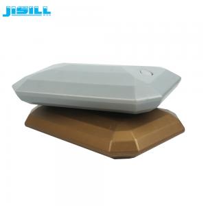 China Durable Plastic Ice Plate Freezer Ice Pack For Fan Food Cold Storage Transport factory