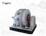 TDG Large Scale Synchronous Motor 6kv For Blast Blower Steel Plant