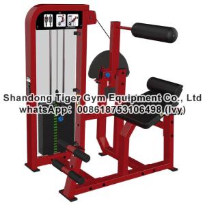 China Single Station Gym fitness equipment machine Back Extension exercise machine factory