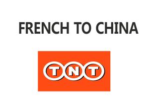 China High Mobility Transit Transportation Services Tailr Made Service TNT Logistics factory