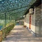 Outdoor Training Camo Net Multispectral Durable Oxford Cloth Polyester Desert