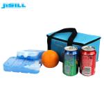 Medium Size HDPE Rigid Plastic Eutectic Cold Plates For Cooler Box