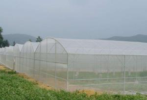 China Waste Disposal Insect Mesh Netting Easywash 0.8 * 0.8mm For Horizontal Shed factory
