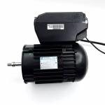 1000w Electric Water Pump Motor High Torque 220V 1.0HP 1.5HP 50hz 3000rpm Single
