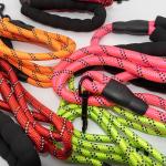 Reflective Nylon Dog Leash Acceptable OEM ODM Manufacture All-Season Market