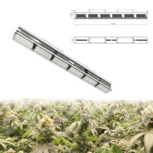 China Passive Cooling IP67 Waterproof Led Grow Light Bar No Fans High PAR Value factory