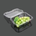 Takeaway Packaging 13.5cm Disposable Plastic Food Box