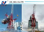1250KN.m Rated Lifting Moment 50m Tower Crane Boom Length Fixed Jib Crane D5020