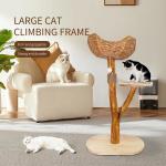 Cat Tree Unique Design Natural Wood Cat Tower Easy Climbing Small cat