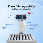 480*650mm Checkweigher Conveyor for Carbon Steel Packaging Detection