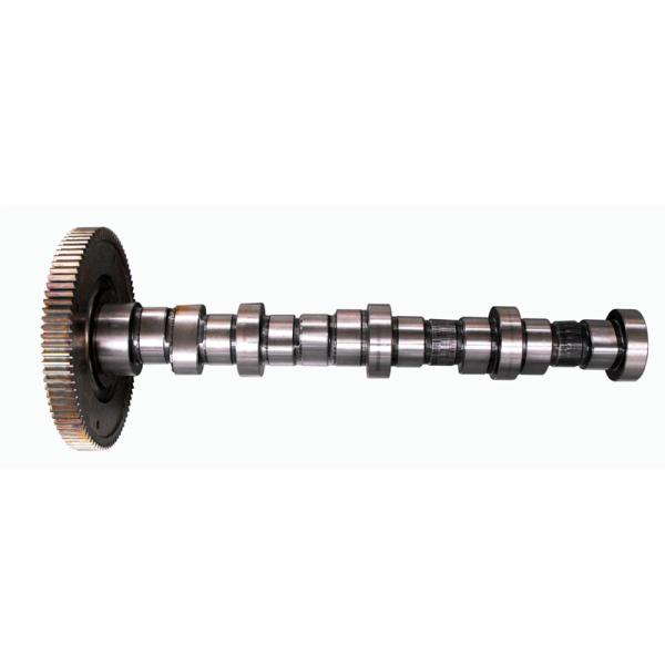 Camshaft 04293674 04255924 04501562 04251114 04202616 0429 3674 0425 5924 0450