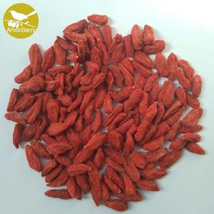 China Amorberry Dried Goji Berry Lycium Barbarum Medlar Chinese Tibet wolfberry wholesale with high quantity factory