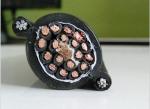 ECHU Flexible traveling Cable Pendant Cable RVV(1G)/RVV(2G) with black color
