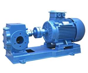 China 29m3/H Hydraulic Lobe Pump factory