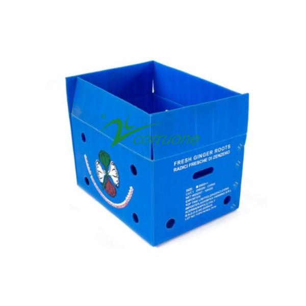 Corruone waterproof Fruit Vegetable Packing PP Cartonplast Grapes Packing Boxes