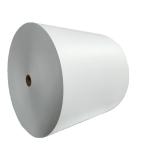 Anti-Curl Ivory Paper 210/230/250/270/300gsm FBB/GC1/C1S with Chemical Pulp and