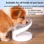 Dog Bowl Cat Oblique Mouth Bowl Pet Cat Bowl Neck Guard Cat Food Bowl Cat And