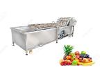 Ce Certified Stainless Steel Fruit Processing Machine Fruit Mango Apple Washing