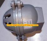 female thread foot valve material GG20