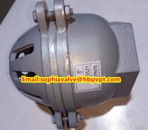 China female thread foot valve material GG20 factory
