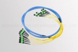 China Apc Multi Fiber Push On Female MPO to Male MPO 100% Factory Tested factory