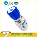 Panel Mounted Stainless Steel Union Single Stage Gas Pressure Regulator 100 psi