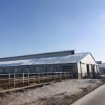 Weld Steel Structure Cow Shed Construction , Temporary Livestock Shelter