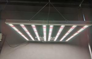 China 600w Indoor LED Grow Light Indoor Plant Grow Lights AC85 - 265V Input Voltage factory