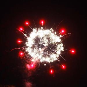 China Liuyang Mandarin Consumer Salutes Fireworks US 1.4 Pro Fireworks 116 Shots Cake Fireworks G.W 28.64KG for Celebration factory