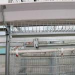 Anti Corrosion Layer Chicken Cage For Laying Eggs Large Scale Farm Use