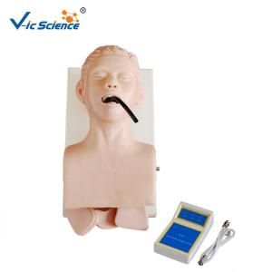 China Human Trachea Lntubation Model CPR Training Manikins In Medical Science factory