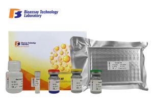 China CE Standard Customized Mouse ELISA Kit Apelin Sandwich Within 48 Hours Lead Time factory